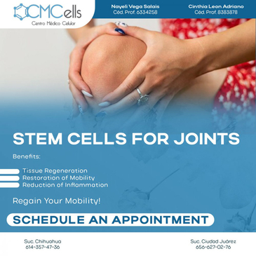 Slider image (5) Cmcells, Centro Medico Celular, (Stem Cells Medical Center)